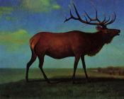 阿尔伯特比尔施塔特 - Elk